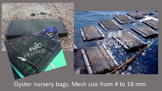 Oyster Bags