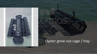 Oyster Cages / Trays